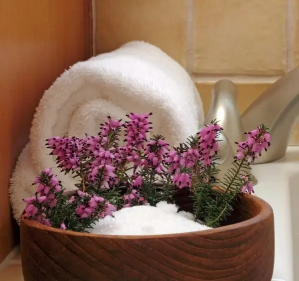 email_and_blog-blog-image-750x750-4-600x600259514-1