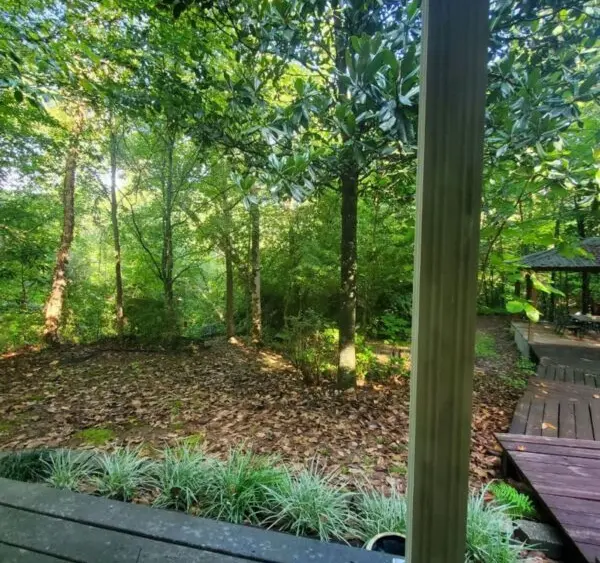 79de44d5f61e0047a9532450b3afad59319d10c2d6a08831c9f9418684216e779b1cdd02f527789af3a4cd83691edd20035f9a9eed72d237036350aca403e60a-600x600788048-1