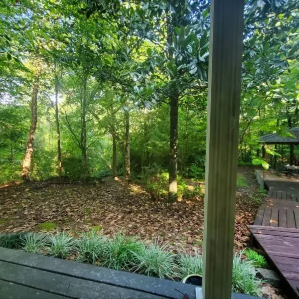 79de44d5f61e0047a9532450b3afad59319d10c2d6a08831c9f9418684216e779b1cdd02f527789af3a4cd83691edd20035f9a9eed72d237036350aca403e60a-600x600788048-1