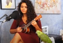 parrot