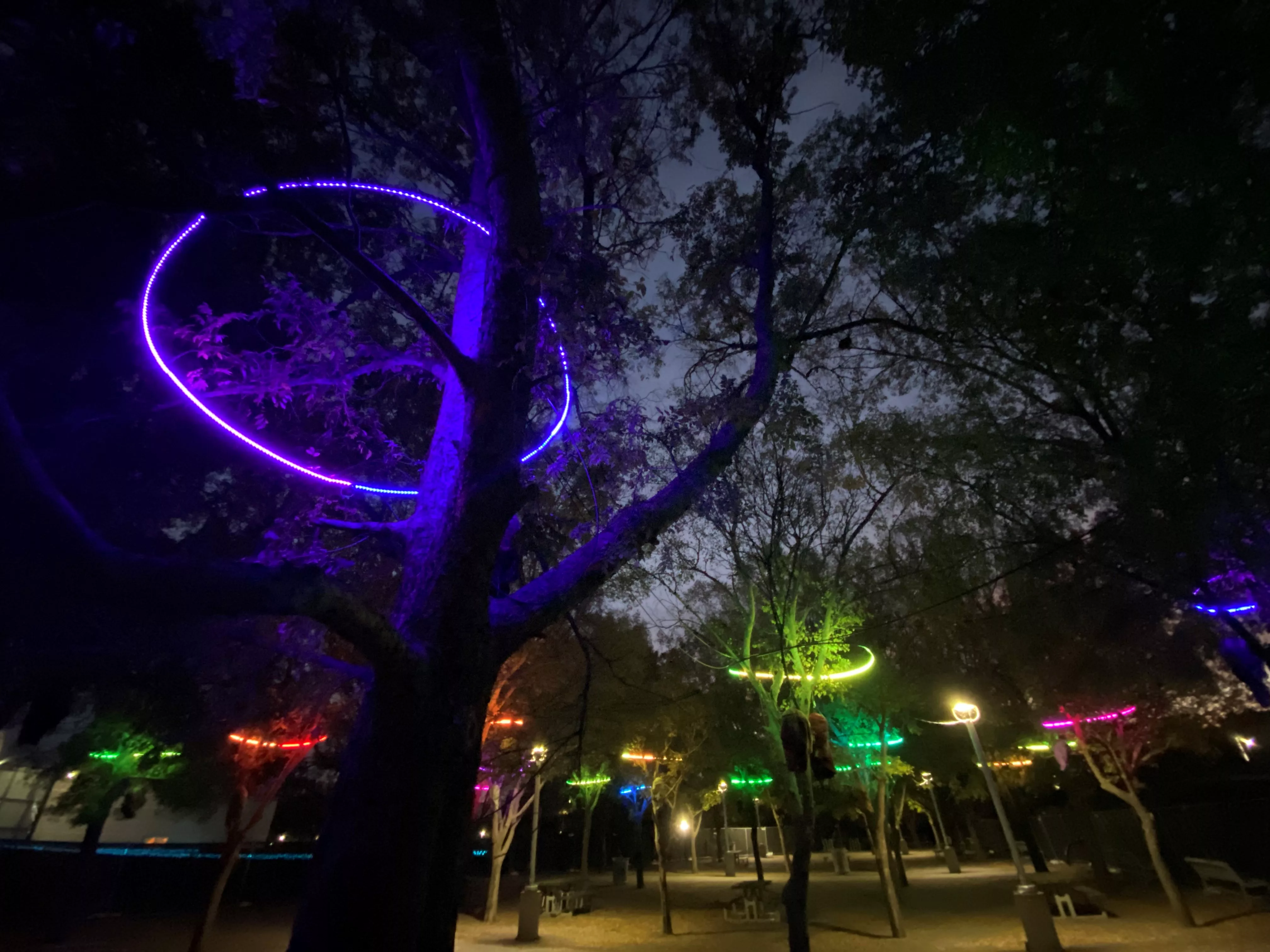 whisperingwoodlands_asmith_04-jpg