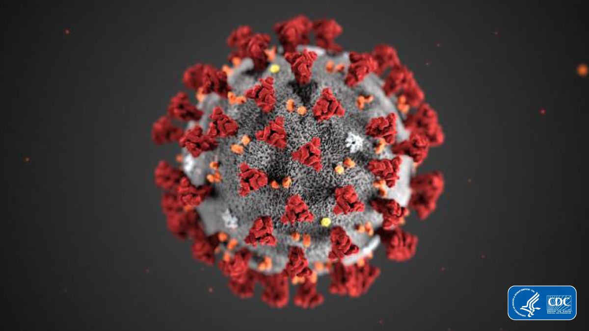 coronavirus