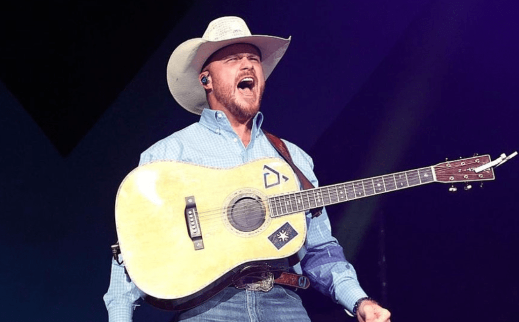 Country Music Minute The Country Grammy Winners And Performances A 