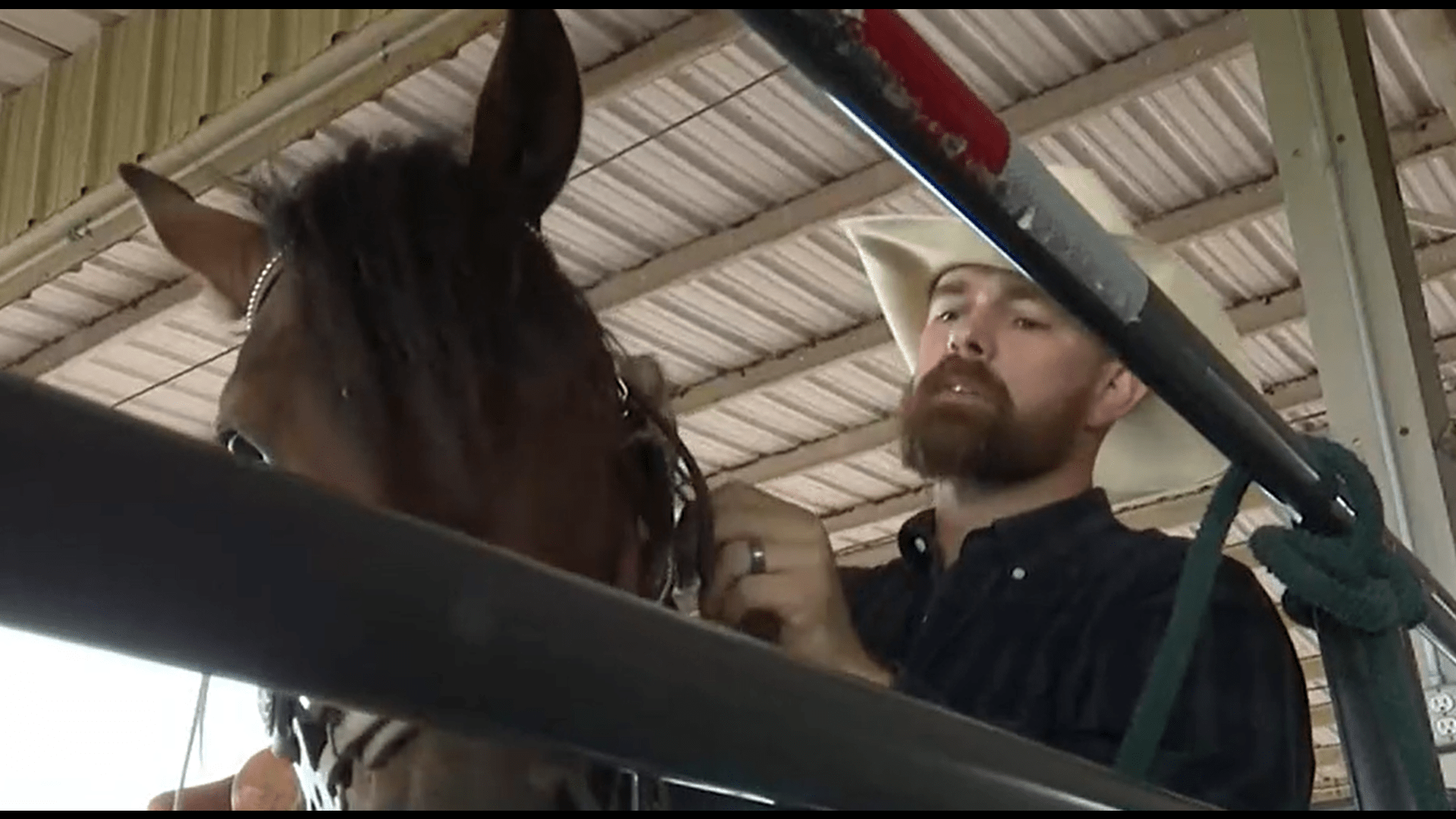 screenshot-2023-05-17-032241