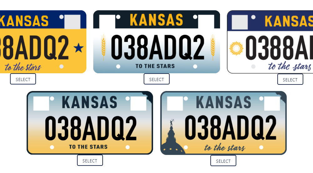 licence-plate-options