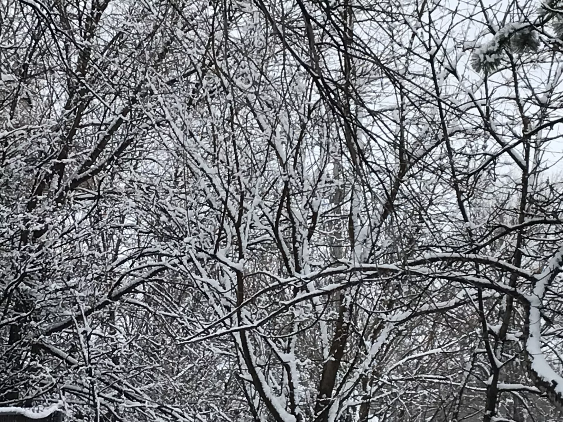winter-generic-photo