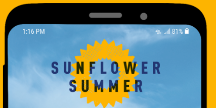 sunflower-summer-2