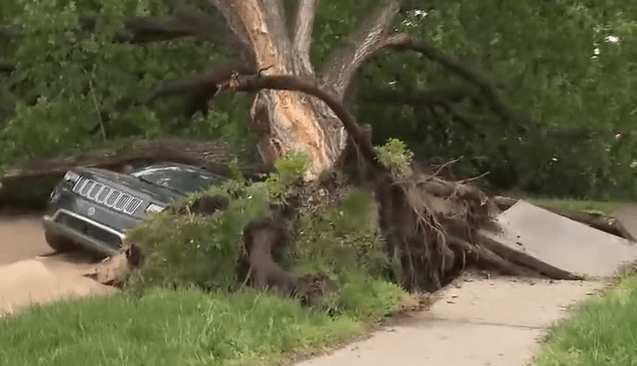 Sinkhole causes damage in south Wichita neighborhood