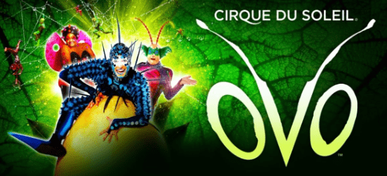 cirque-ovo