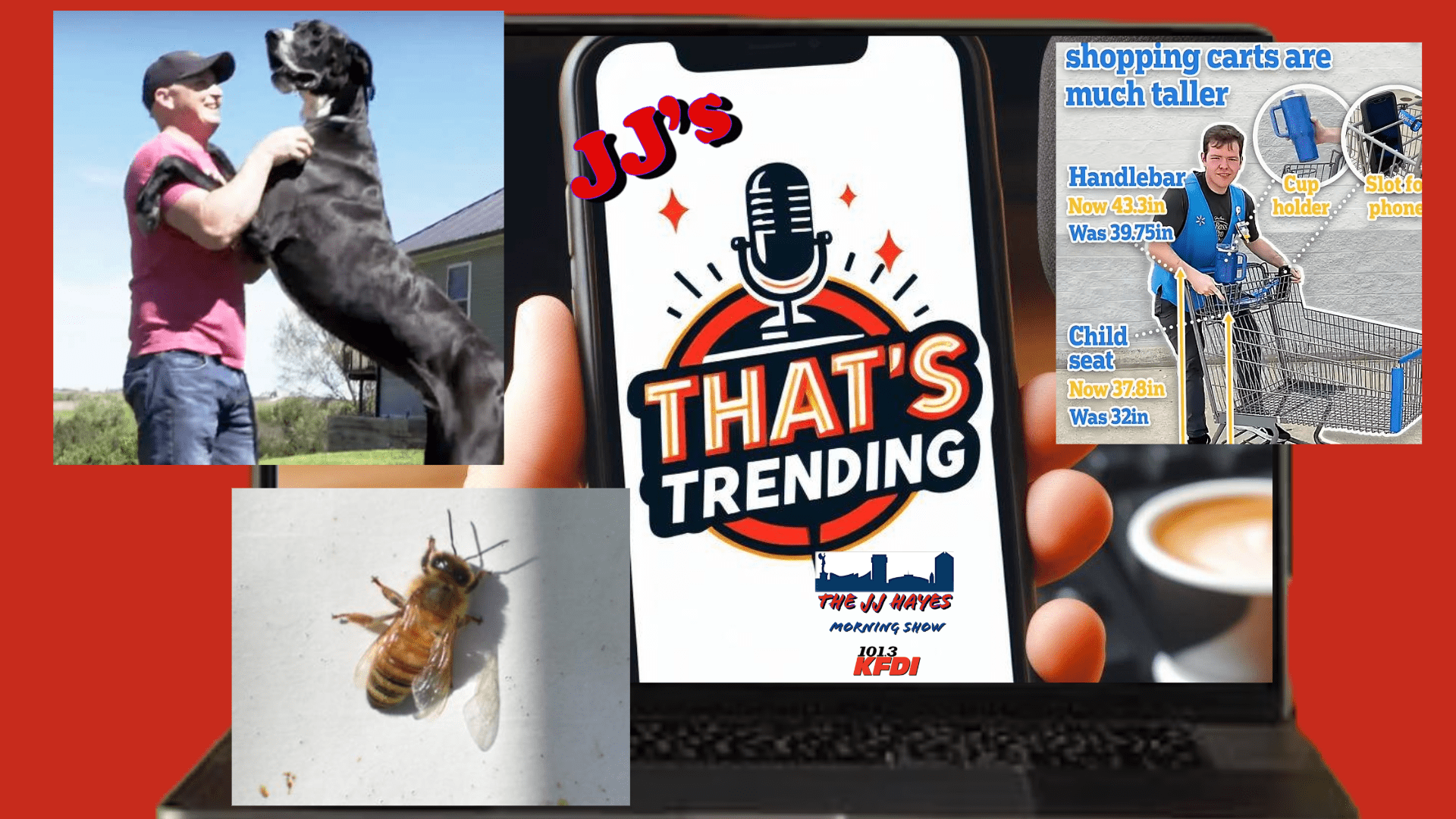 thats-trending-8-8