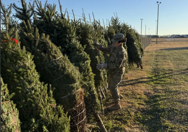 mcconnell-xmas-trees