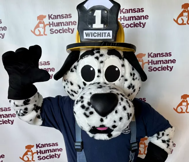 wfd-mascot