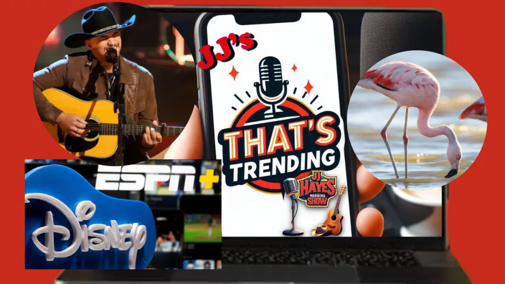 thats-trending-11-14