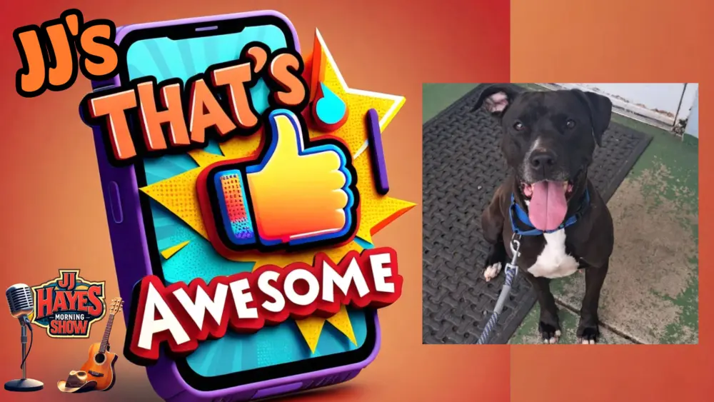 thats-awesome-2-31