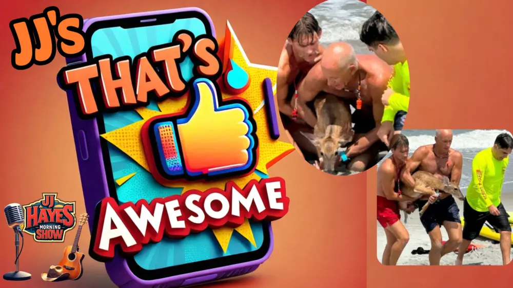 thats-awesome-8-19