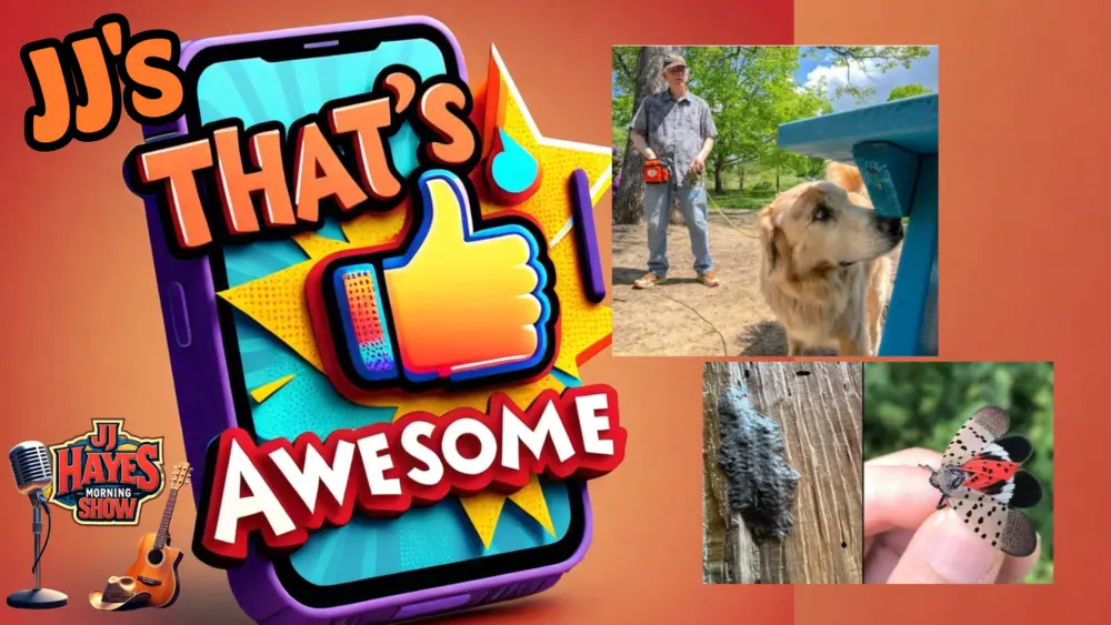 thats-awesome-4-29