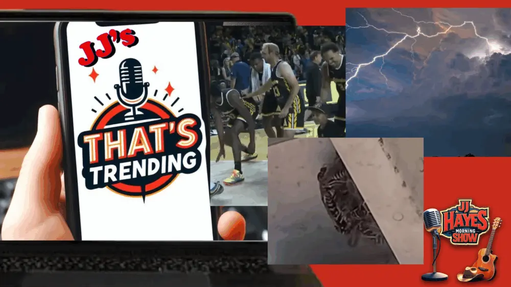thats-trending-6-31