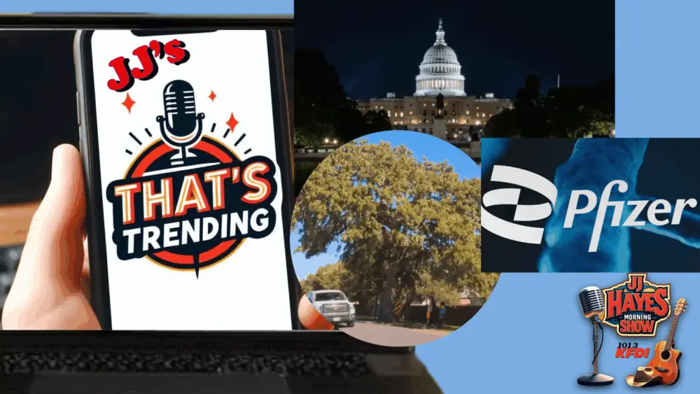 thats-trending-12-13