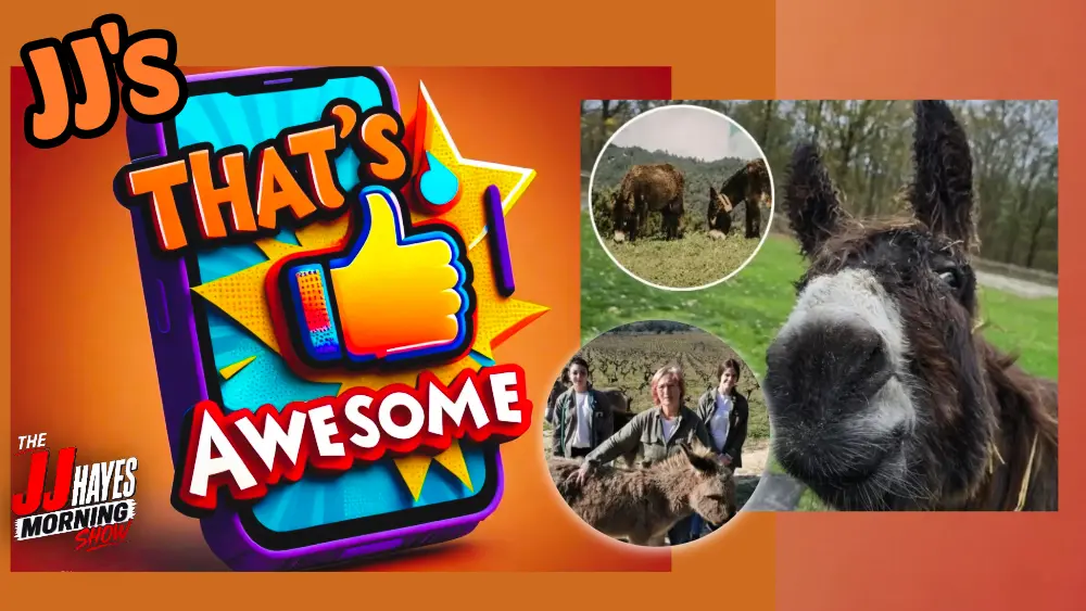 thats-awesome-1-61