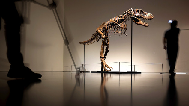 gorgosaurus-01-gty-iwb-220728_1659013593768_hpmain