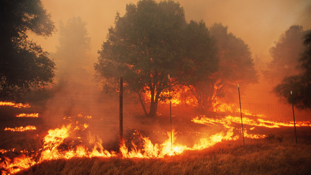 gettyrf_080122_wildfirecalif-2