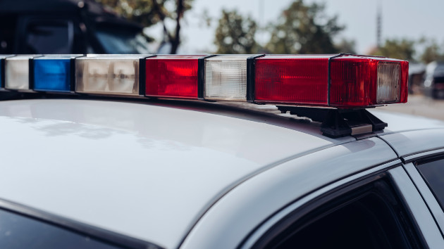 getty_61522_policelightsday-3