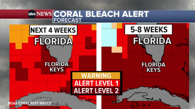 coral-bleach-alert-map-2-abc-bb-230720_1689868774557_hpembed_25x14_99276056