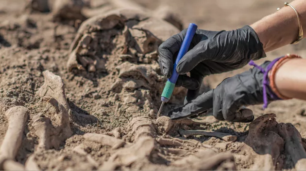 gettyrf_9822_archeologistskeleton2028129319033