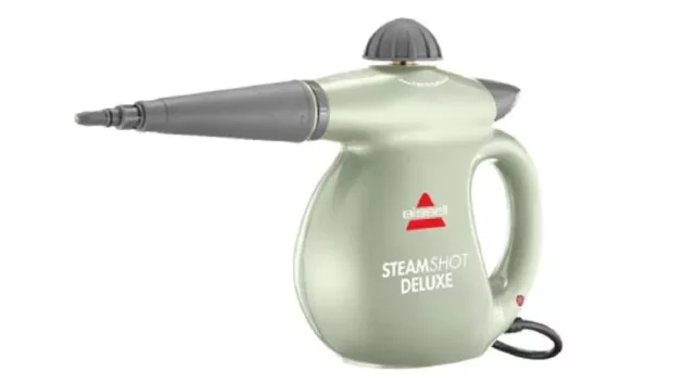 cpsc_71924_bissellsteamer649274