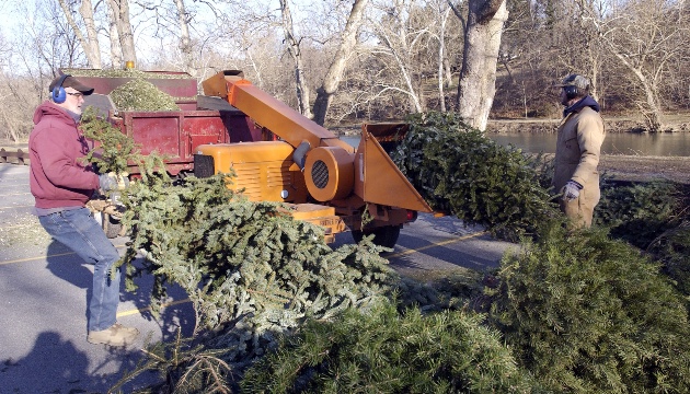 getty_shreddingxmastree_010225294926