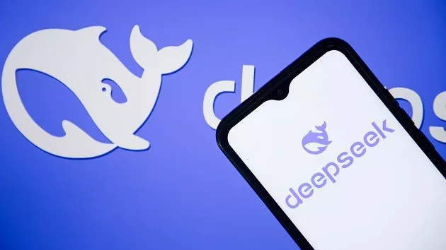 g_deepseek_021025663523