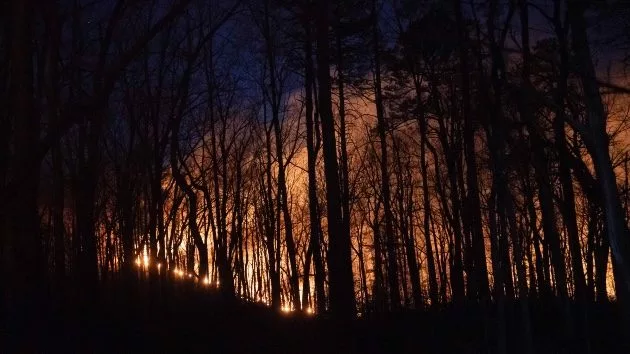 getty_northcarolinawildfires_032524828640