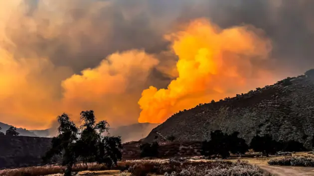califire80596067