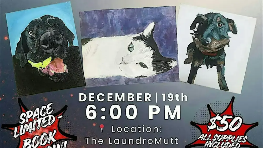 imgi_5_https3a2f2fcdn-evbuc-com2fimages2f11722165392f29850865866312f12foriginal-png-2