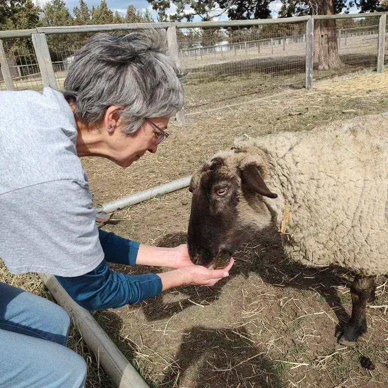 imgi_4_details-1-lambing-basics-png