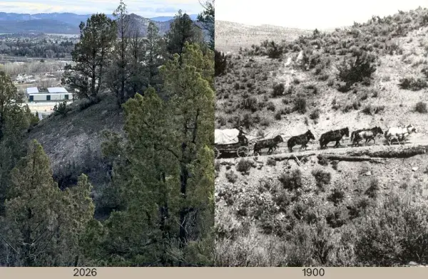 juni-then-and-now-png