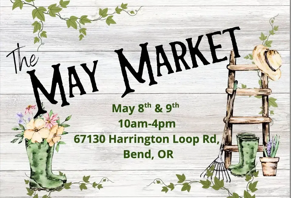 imgi_27_655518147_1267303252167954_4010646149542605187_n-png-4