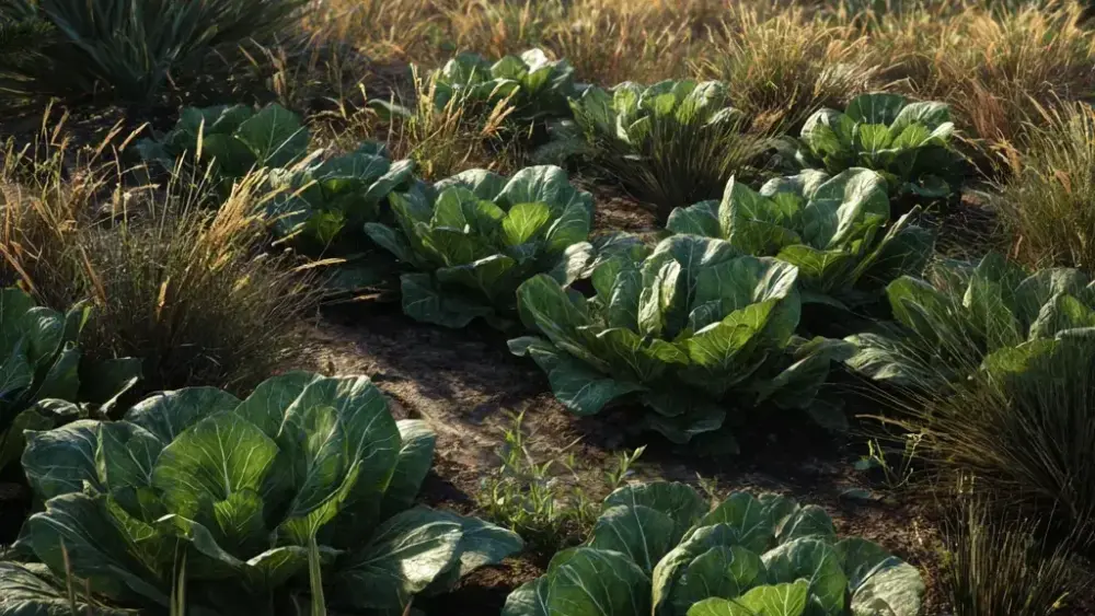 imgi_4_overview-growing-png