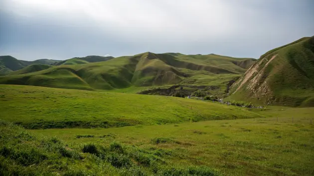 news_pattersonmountains_472619756