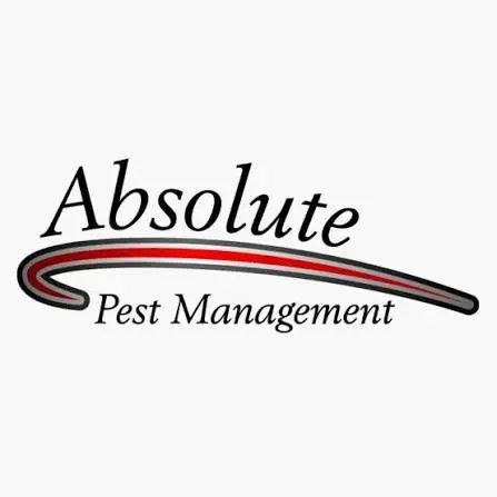 absolute-pest