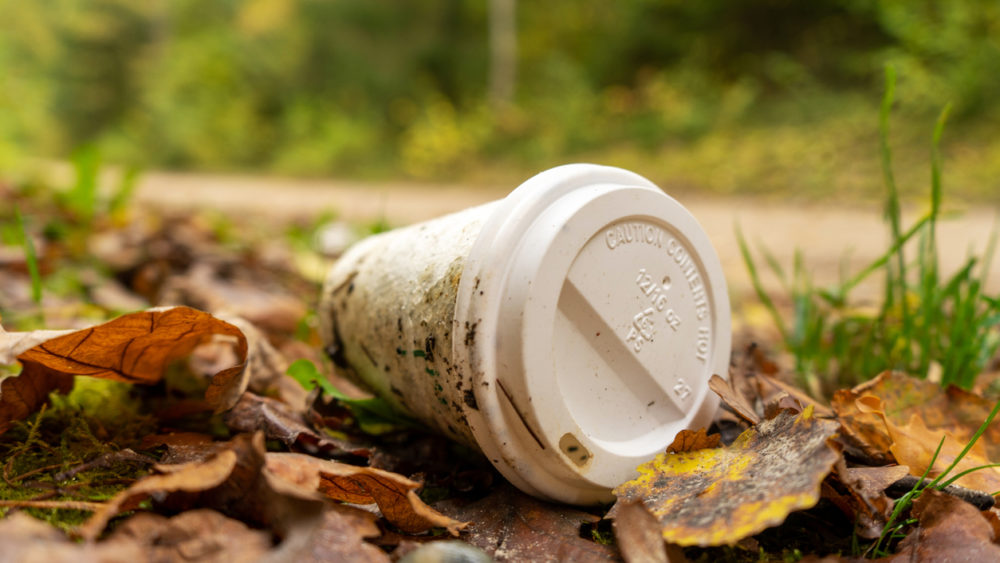 old-disposable-coffee-cup-in-the-forest