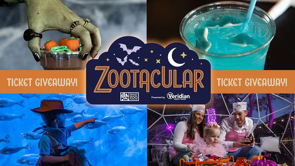zootacular-2026-slider