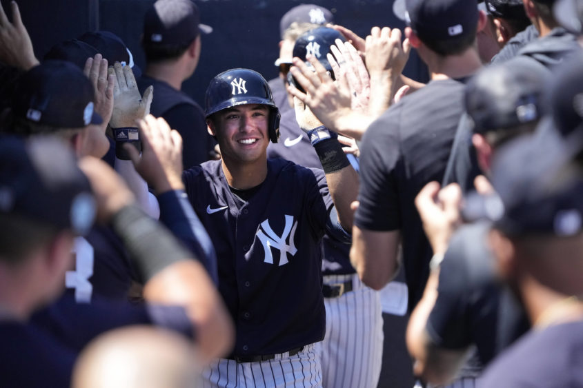 mlb-spring-training-minnesota-twins-at-new-york-yankees-2