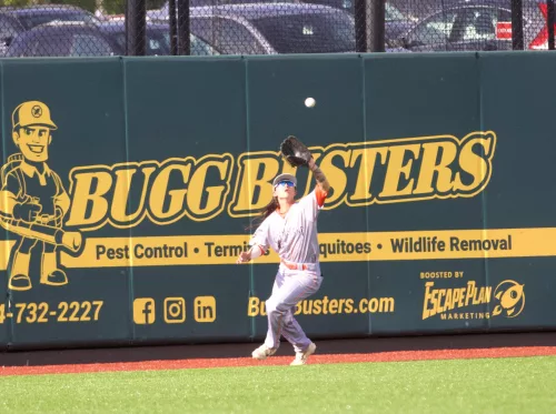 The FerryHawks Are Bringing Baseball Back to Staten Island