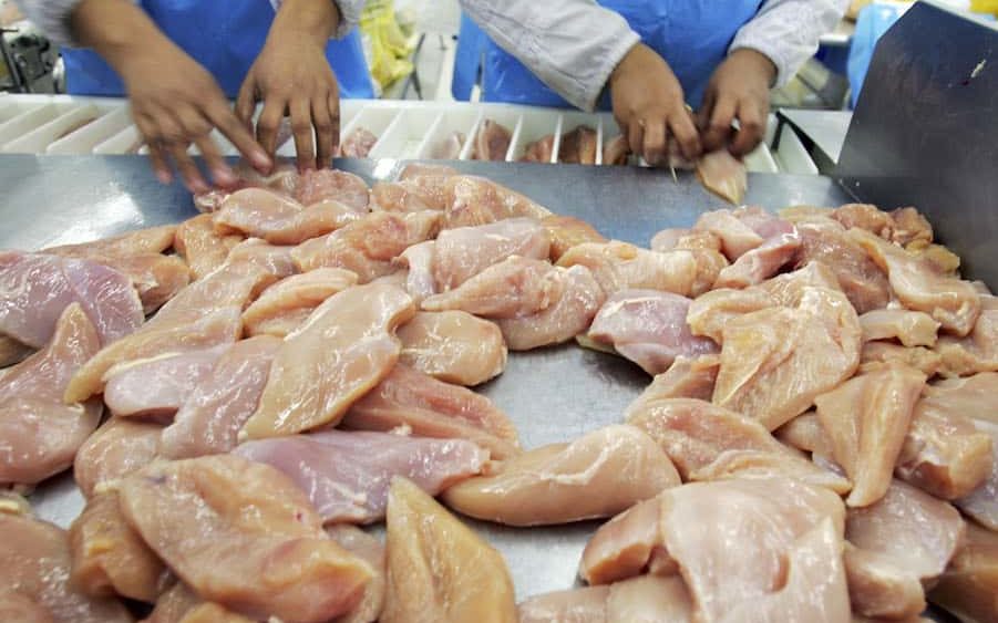 concerns-over-bird-flu-continues-to-effect-thailands-chicken-industry