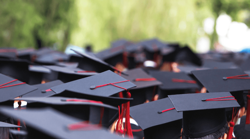 untitled-design-13-3