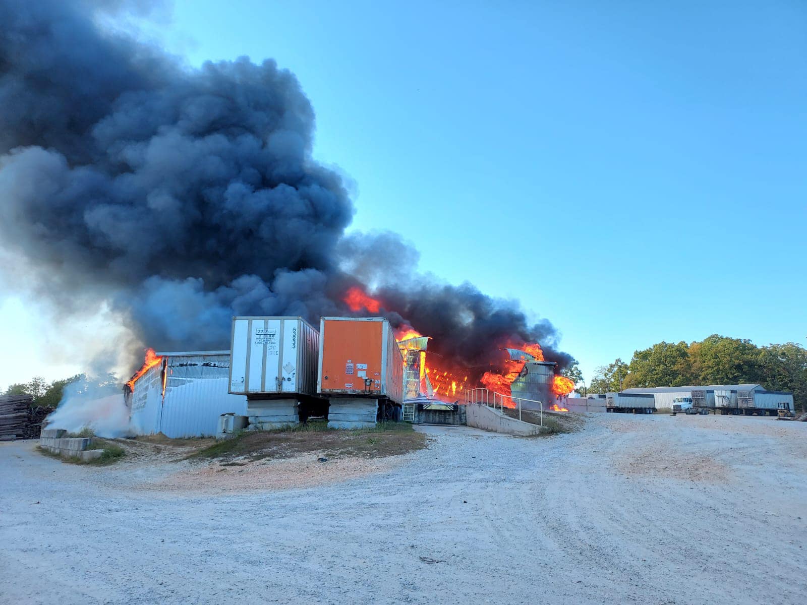 eagle-ridge-shavings-in-seymour-jpg