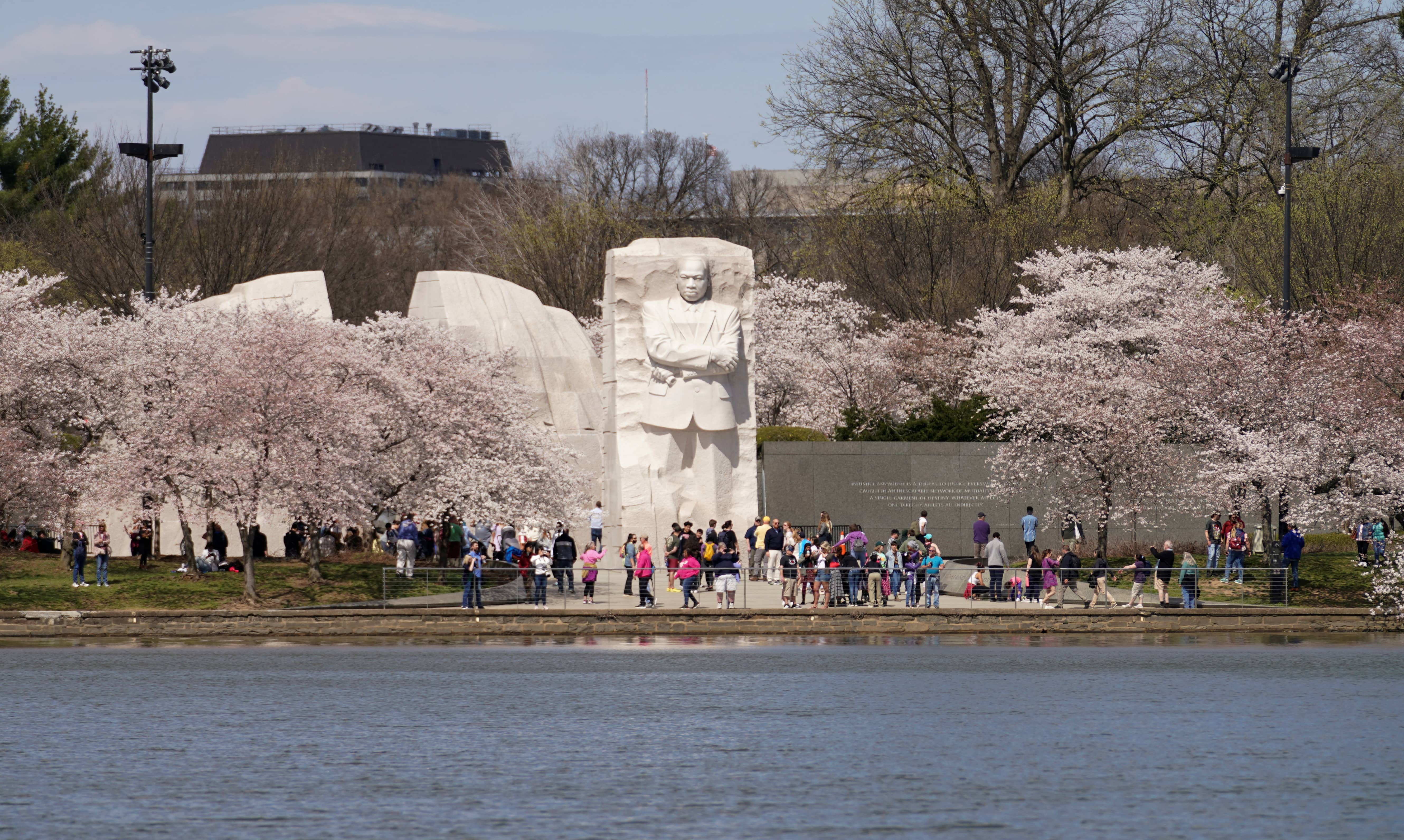 2022-03-21t000000z_2033569130_rc237t9lr4fu_rtrmadp_3_spring-cherryblossoms-washingtondc-jpg