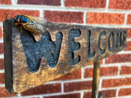 1708340724675355qjjbqyp5lv944555