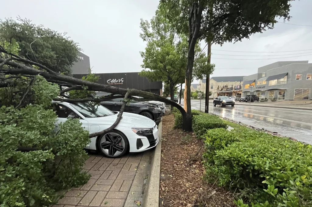 171695633376457rx9zgrsnwj-scaled206884